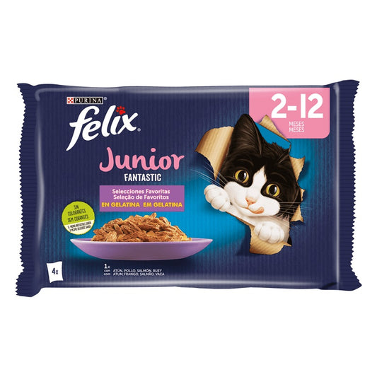 PURINA FELIX FANTÁSTICO GATO JÚNIOR