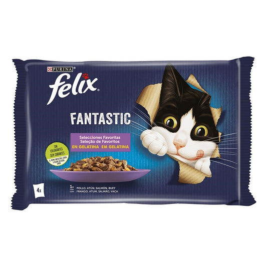 PURINA FELIX FANTÁSTICAS SELEÇÕES FAVORITAS