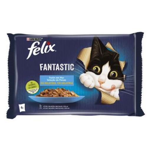 PURINA FELIX FANTÁSTICA SELEÇÃO PEIXES