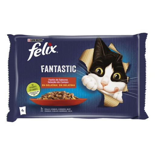 PURINA FELIX FANTASTIC CARNE 4X85GR